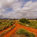 Safari in Kenia